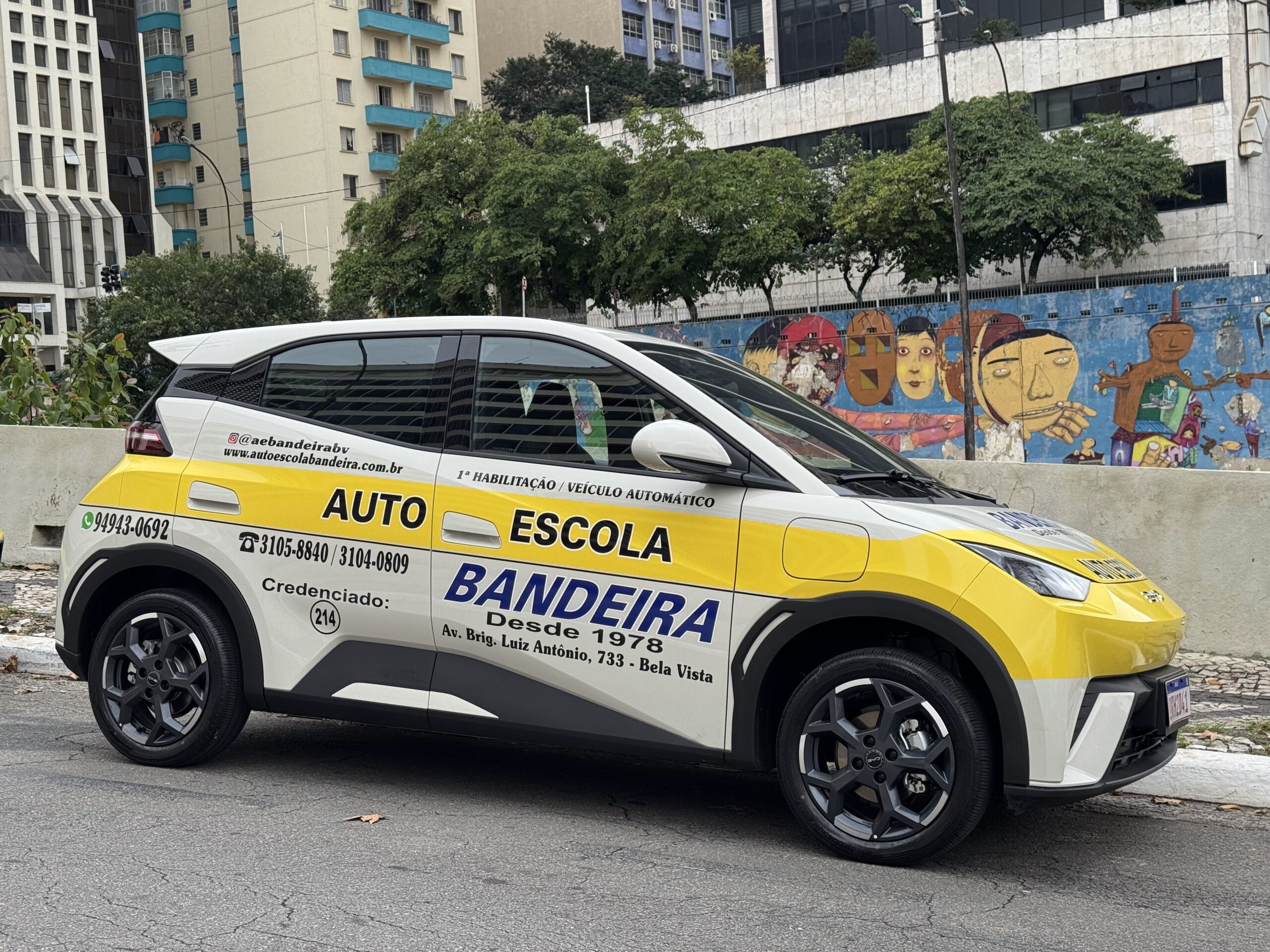 BYD Mini Dolphyn - Carro Automático